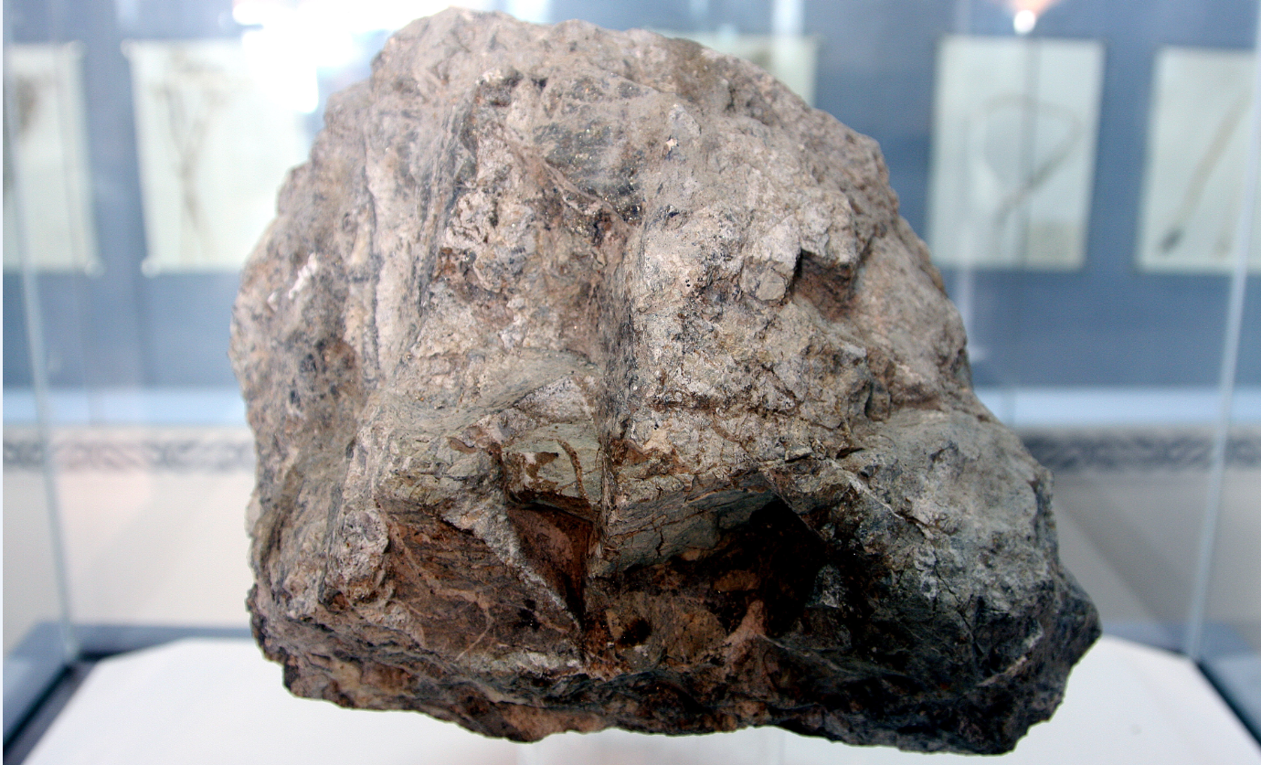 礦石、煤炭檢測